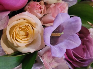 Soirée royale - Thème Marie-Antoinette