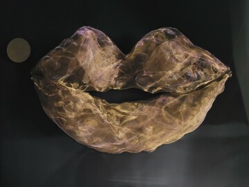 Soirée glamour - Thème Crazy Horse