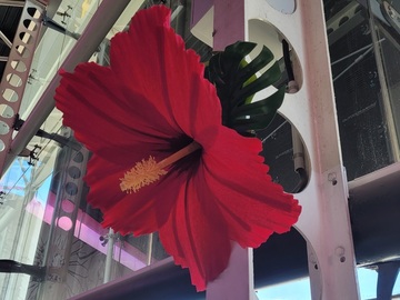 Fleur géante faite main à base de papier crépon et feuilles tropicales artificielles habillant un poteau