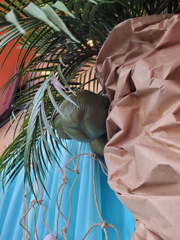 Palmier en papier kraft et noix de coco au Pathé Odysseum