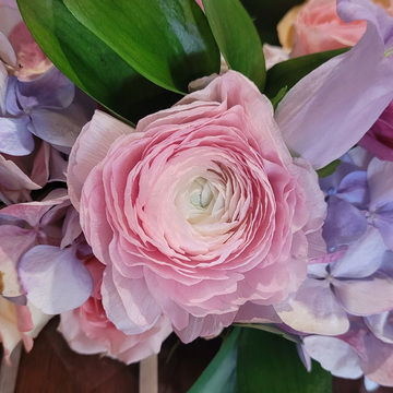 Soirée royale - Thème Marie-Antoinette